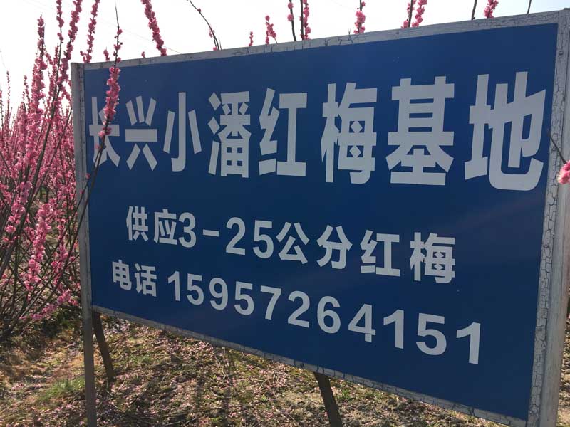 ���˺�÷��������Ӧ����