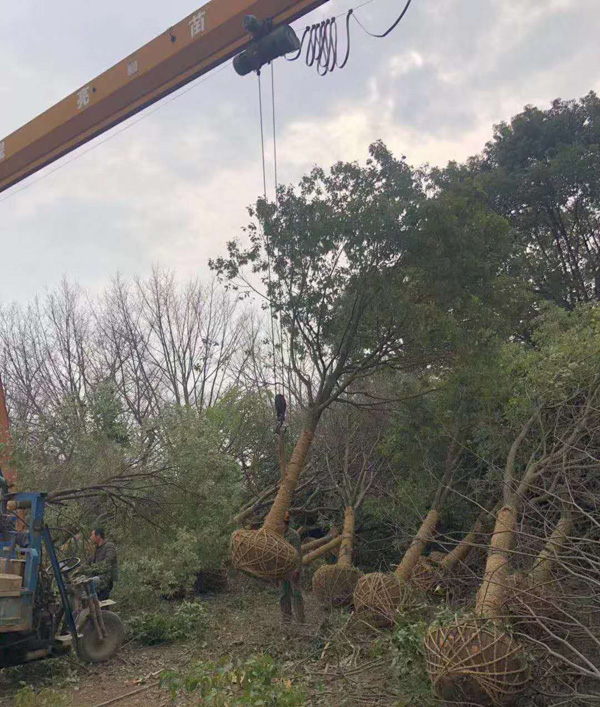 ��������С�����Գ�16����������װ��������