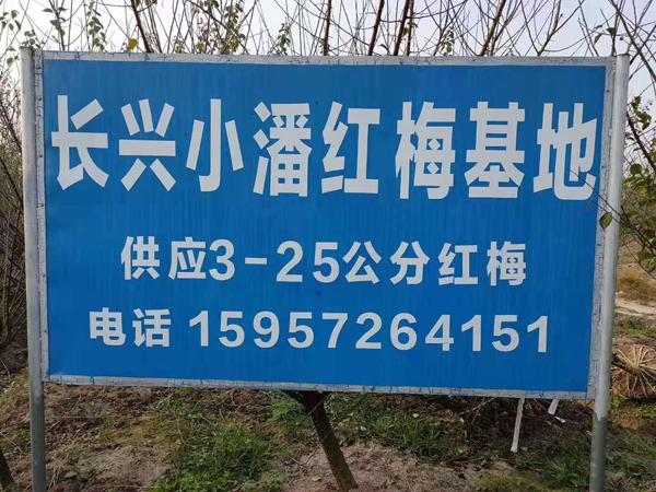 6���ֺ�÷������6��������÷�Ѿ�������һ����׼��װ��