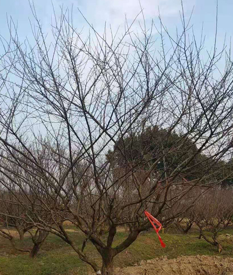 ��Ʒ��÷��